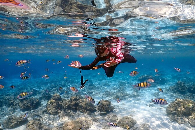 3-Island Speedboat Tour: Racha Noi, Racha Yai & Maiton - Racha Yai Around Midday: Lunch Plus Snorkeling on the Main Island