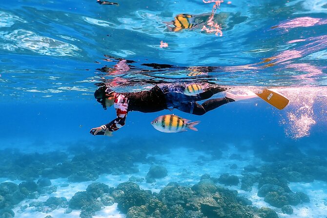 3-Island Speedboat Tour: Racha Noi, Racha Yai & Maiton - Price and Value: Is $110.68 Worth It?