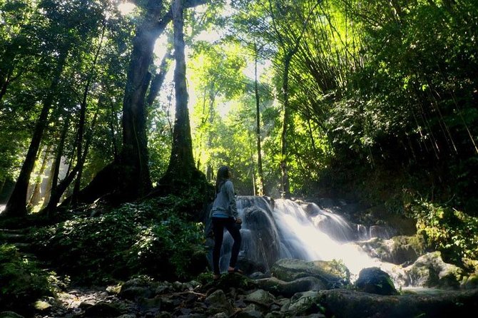 Bamboo Rafting, ATV Riding and Jungle Tour From Phuket - ATV riding: 30 minutes of jungle fun