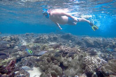 Best of Phi Phi Islands Snorkeling Tour from Phuket - Royal Phuket Marina to Ko Phi Phi: How the Morning Sets the Tone