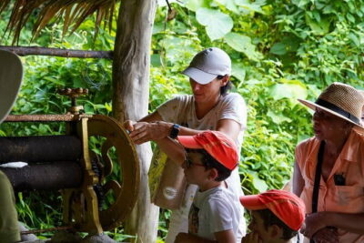 Elephant Nature Experience with Lunch at Bukit Elephant Park - The Elephant Part: Watching From a Distance and Feeding From a Fence
