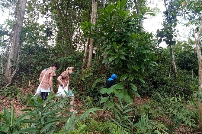 Elephant Sanctuary Small Group Tour in Phuket - Key things I’d pencil into your day