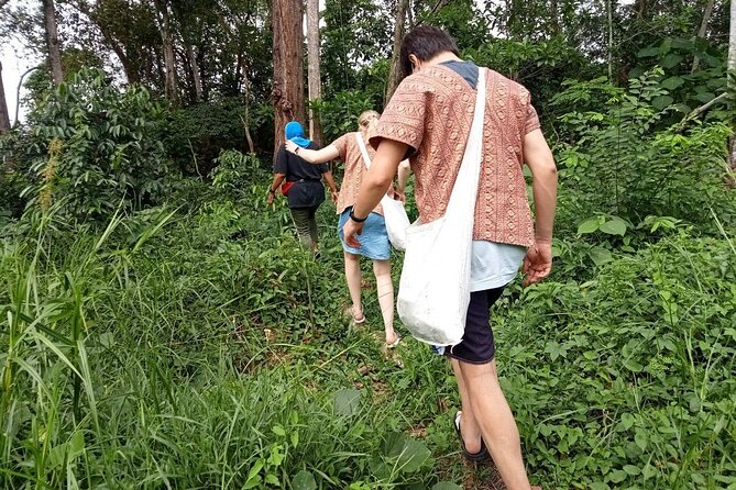 Elephant Sanctuary Small Group Tour in Phuket - Getting picked up: timing, route, and why it matters