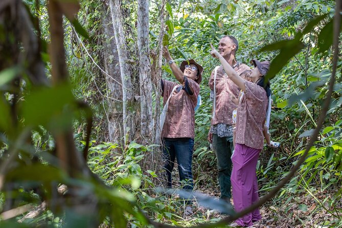 Elephant Sanctuary Small Group Tour in Phuket - Herbal snacks and feeding by hand: the highlight (and the learning)