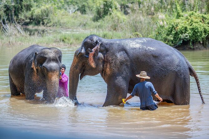 Elephant Sanctuary Small Group Tour in Phuket - Who this tour fits best (and who should think twice)