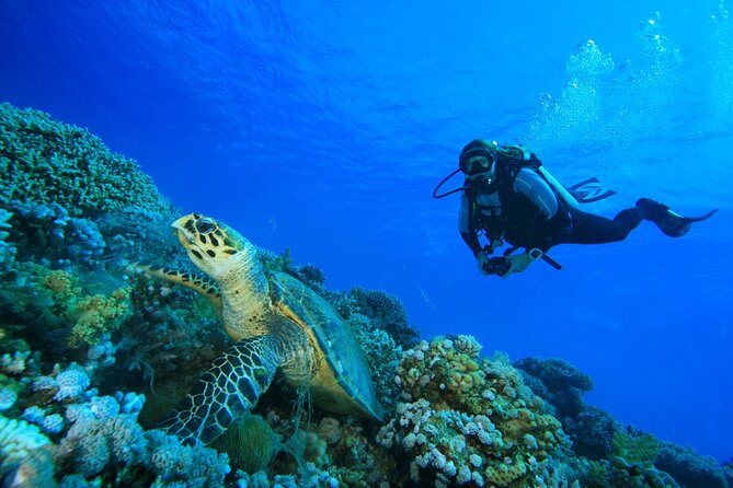 Full-Day Beginner Scuba Course with Private Tuition, Racha Yai - Instructors make or break your first day