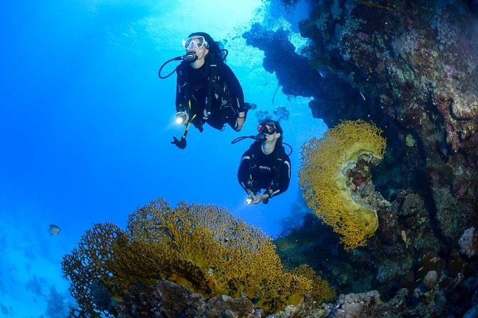 Full-Day Beginner Scuba Course with Private Tuition, Racha Yai - Your day in plain terms: 7:00 am start, ~8 hours total