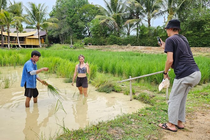 Old Phuket Farm Ticket - Countryside Local Life Culture - Buffaloes, Rubber, and Rice: What These Crops Mean to the Story