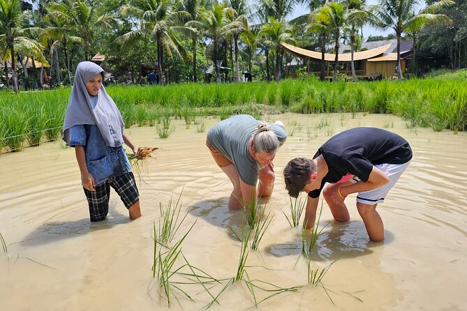 Old Phuket Farm Ticket - Countryside Local Life Culture - Pineapple Tasting and Local Produce: Ending With Flavor