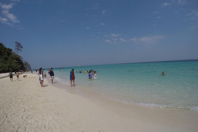 Phi Phi Islands Day Tour Bamboo and Maya Bay with Lunch By Speedboat - Pileh Bay Lagoon: Swim, Step In, or Jump (Safely)