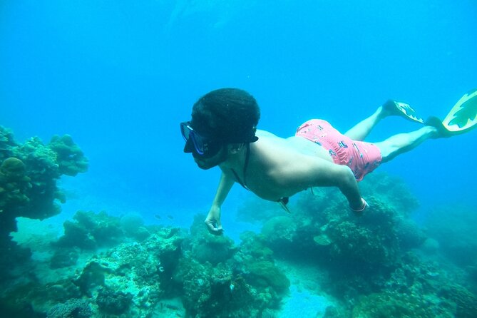 Phi Phi & Khai Islands Speedboat Tour from Phuket with Snorkeling - Key things that make this tour worth your time
