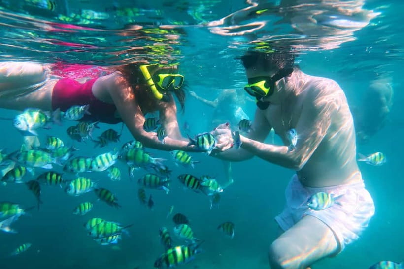 Phuket: 3 Khai Islands Speedboat Tour- Snorkeling & Relaxing - Safety and comfort: Who this tour fits, and who should pass