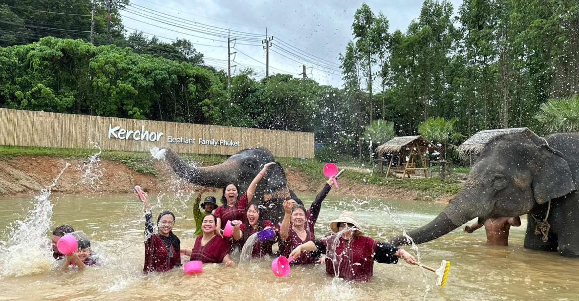 Phuket: Elephant Experience with Lunch or Dinner and Pickup - Getting to the park from your Phuket hotel: pickup times and how long it takes