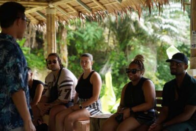 Phuket : Guided Tour to Elephant Sanctuary with Transfers - Getting to the hill tribe elephant village (and why timing matters)