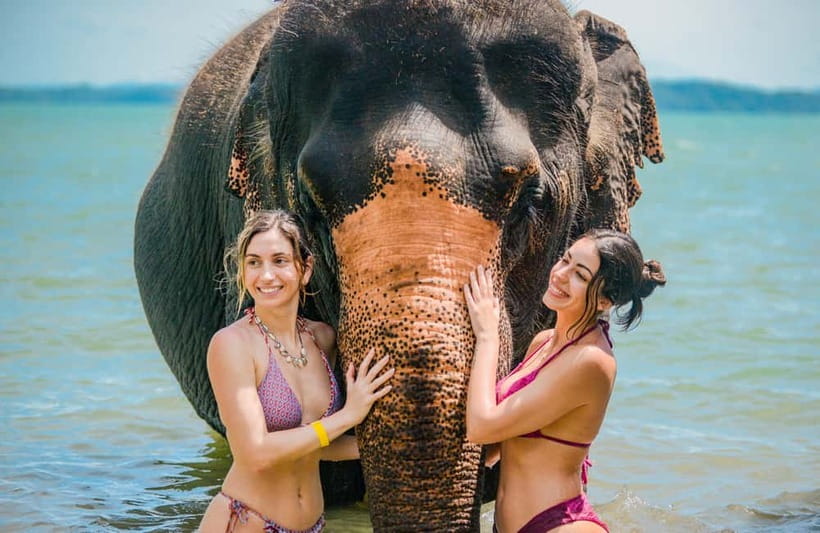 Phuket:Beach walk with elephants, rain & care. 2.5 hours - The 150-minute rhythm: walk, sea shower, and elephant “spa” care